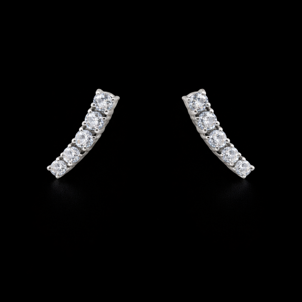 Elegant stud earrings